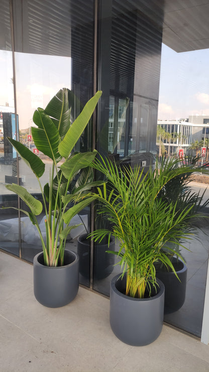 Large Fiberglass Trio - Plantcultcairo