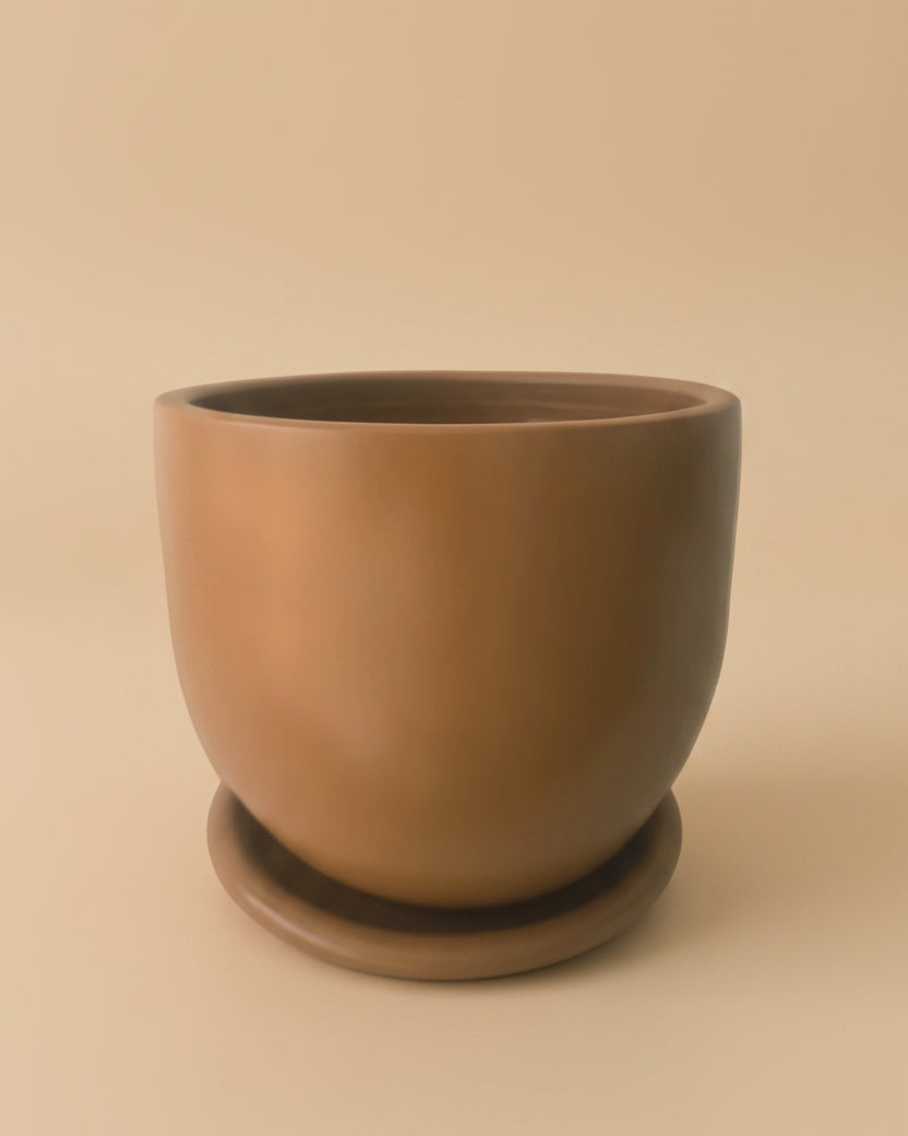 50cm Standard Pot - Plantcultcairo