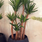 50cm*70cm Fiberglass Pot