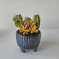 Legged Textured Planter