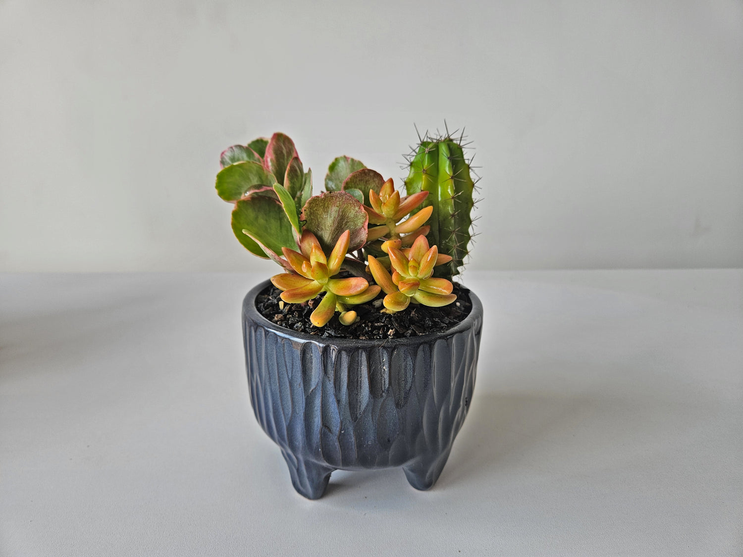 Legged Textured Planter