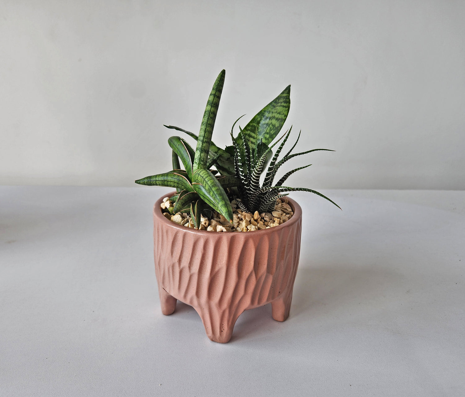 Legged Textured Planter