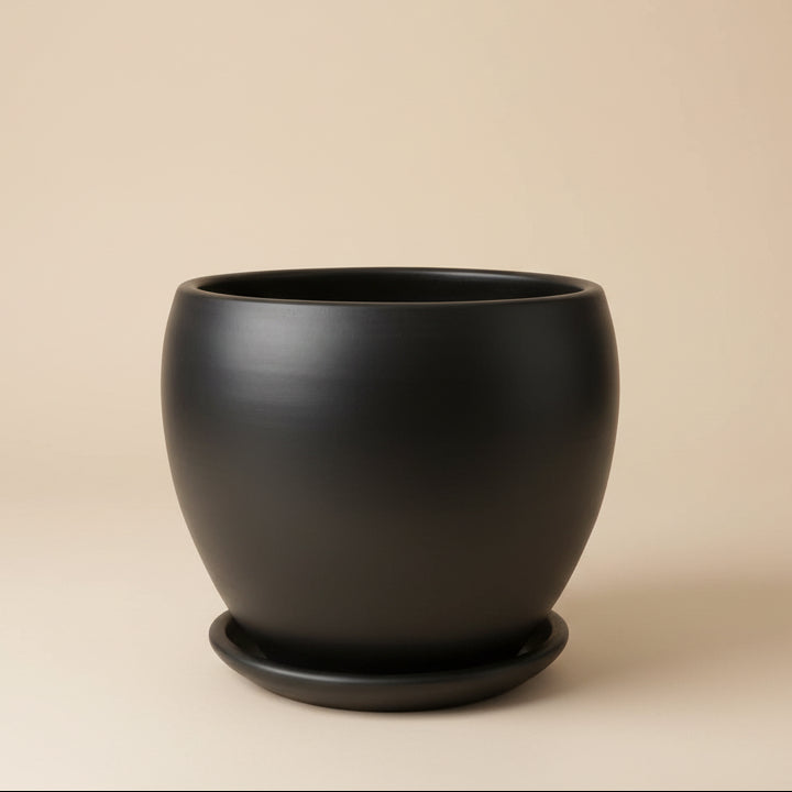 Curvy Planter Multiple sizes - Plantcultcairo