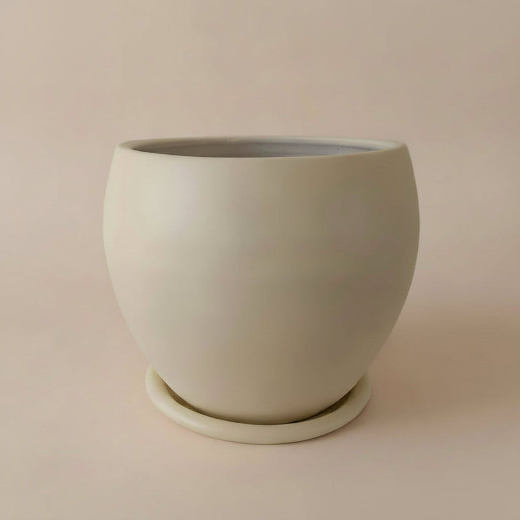 Curvy Planter Multiple sizes