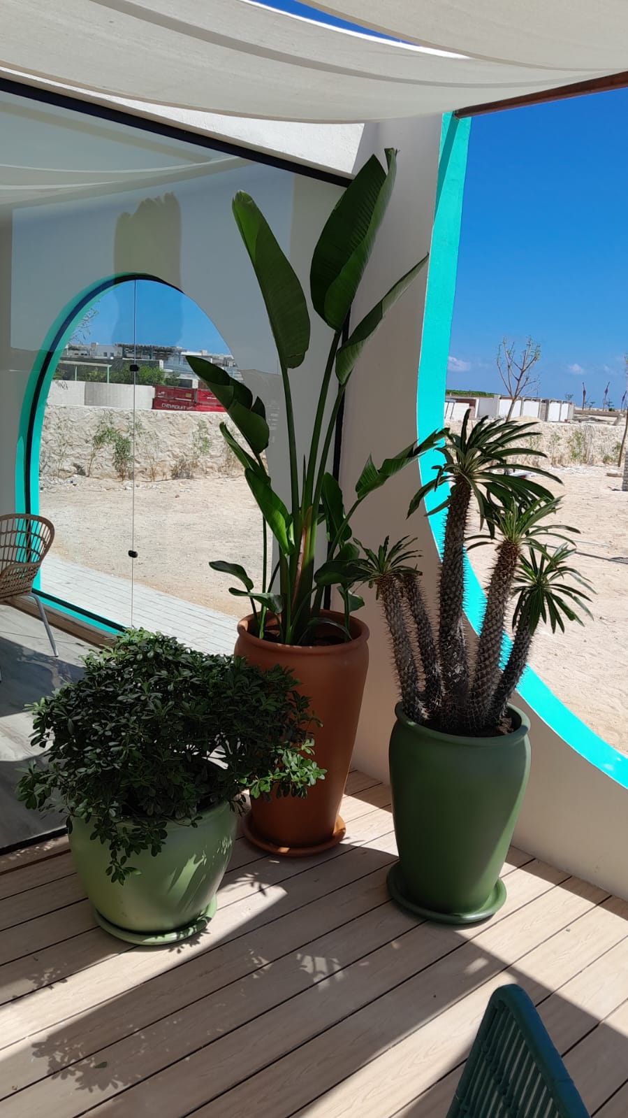 Large vintage clay planters with outdoor earth tones trio with plants in a garden beach town setting
