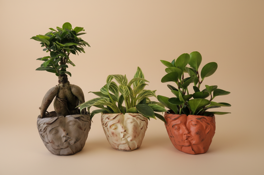 KissBound Planter - Plantcultcairo