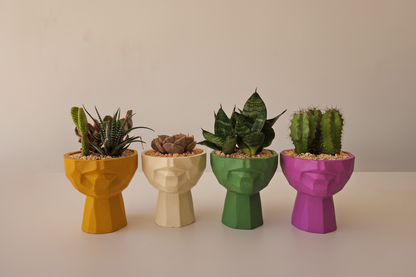Half face Planter - Plantcultcairo