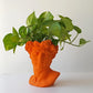 David Planter