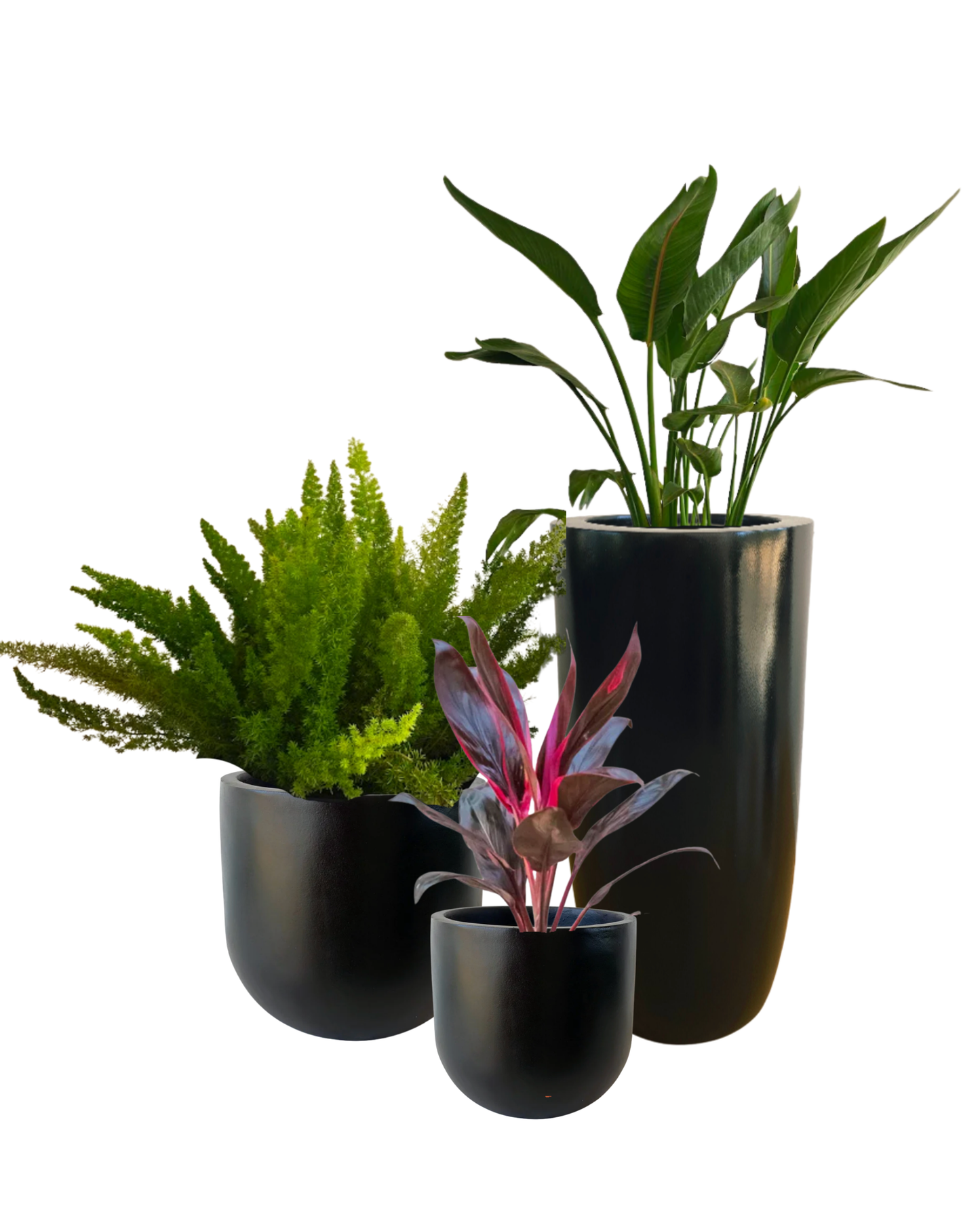 Fiberglass Pots With Plants (Potted)