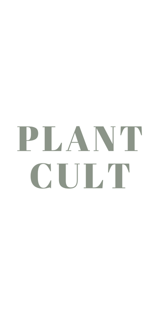 Plant Cult Cairo