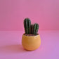 Small Cactus - Plantcultcairo