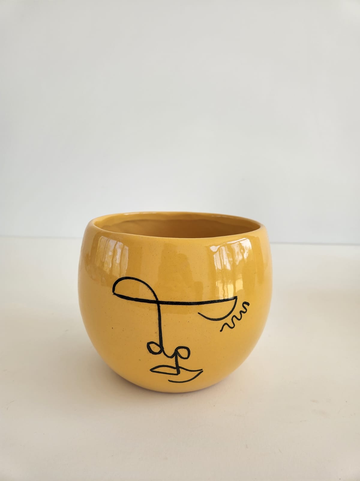 Minimal Illustrated Pot - Plantcultcairo